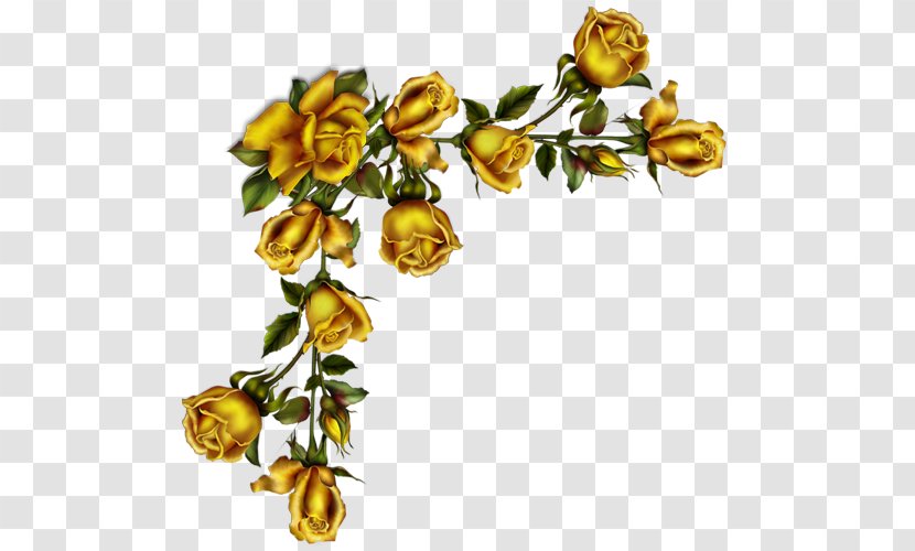 Garden Roses Paper Clip Art - Yellow - Plant Stem Transparent PNG