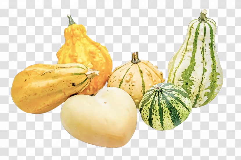 Vegetable Food Plant Cucurbita Gourd - Fruit - Muskmelon Winter Squash Transparent PNG