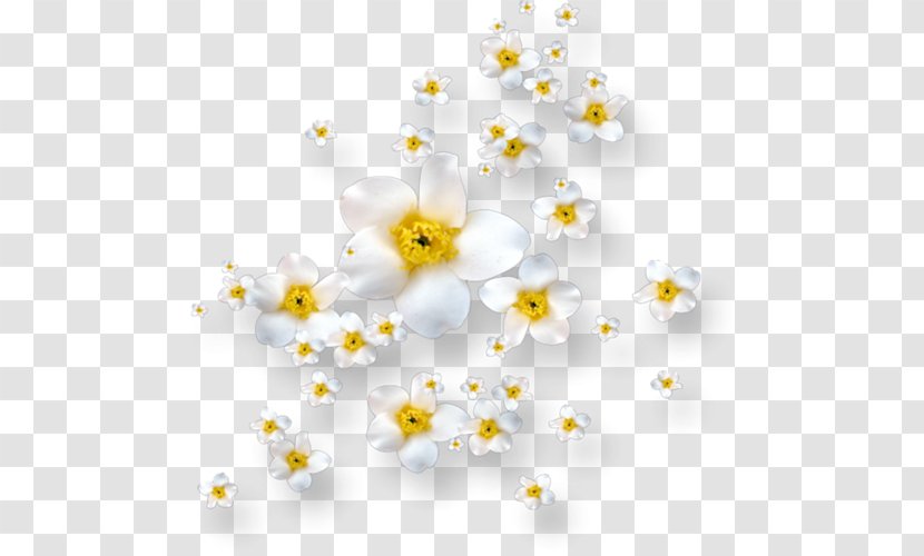 Petal Flower Rain Leaf Dew Transparent PNG