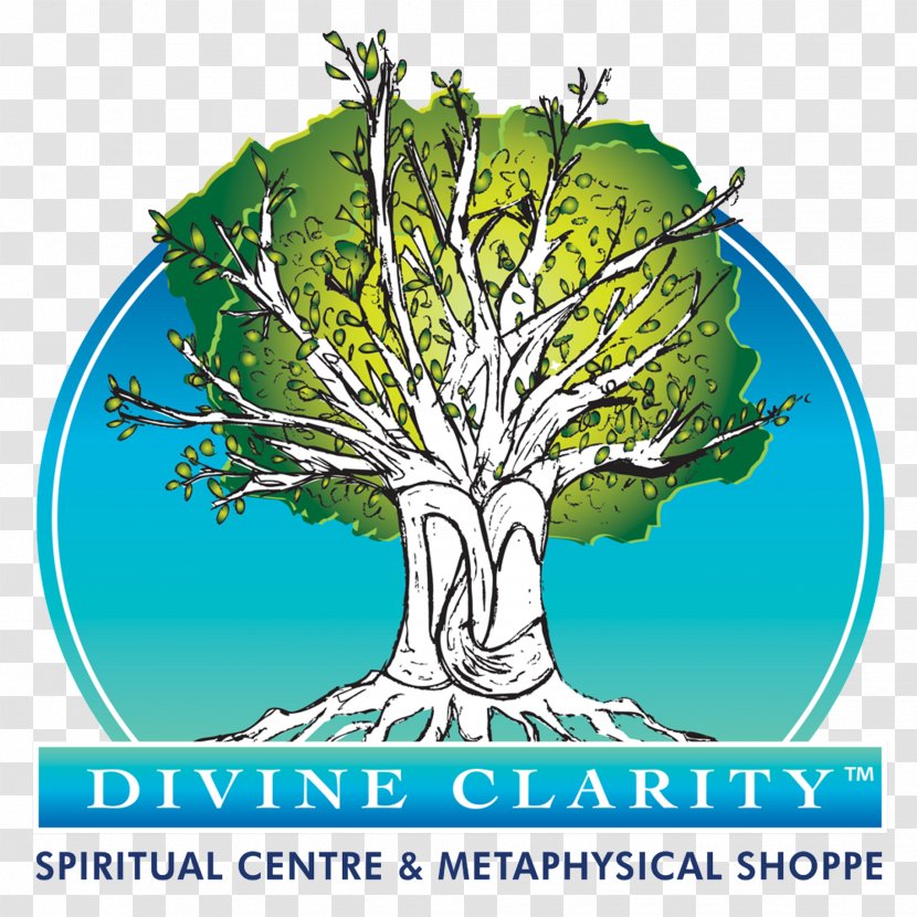 DIVINE CLARITY Spiritual Centre & Metaphysical Shoppe Spirituality Mediumship New Age Insights Airdrie - Chakra Healing Reiki Meditation Energy Transparent PNG