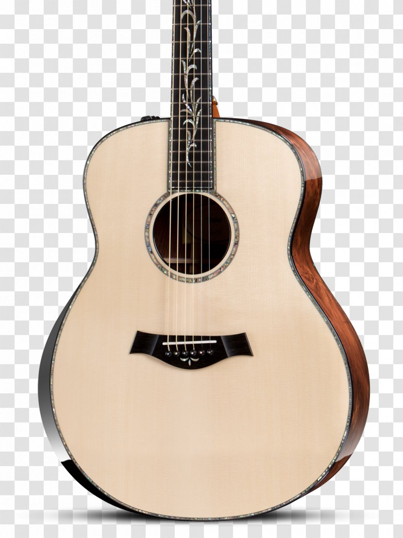Taylor Guitars Musical Instruments Dreadnought Steel-string Acoustic Guitar - Tree - Poster Transparent PNG