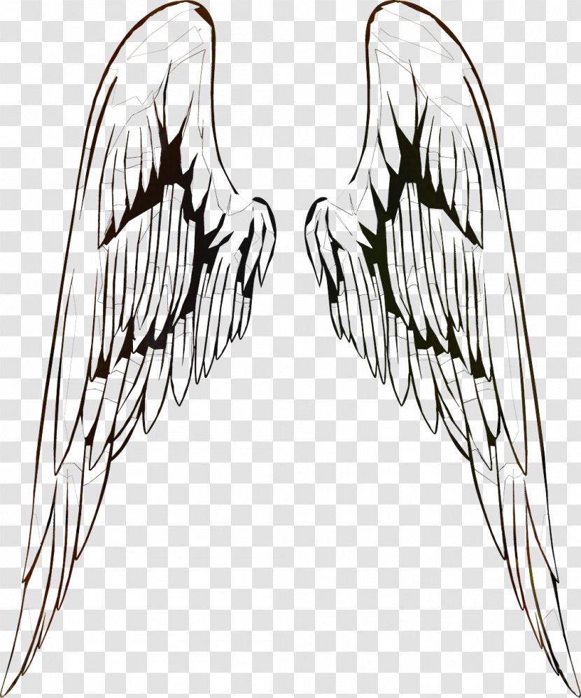 Bird Line Drawing - Game - Feather Head Transparent PNG