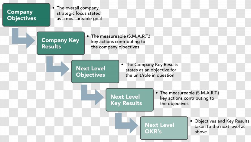 Brand Organization Font - Diagram - Line Transparent PNG