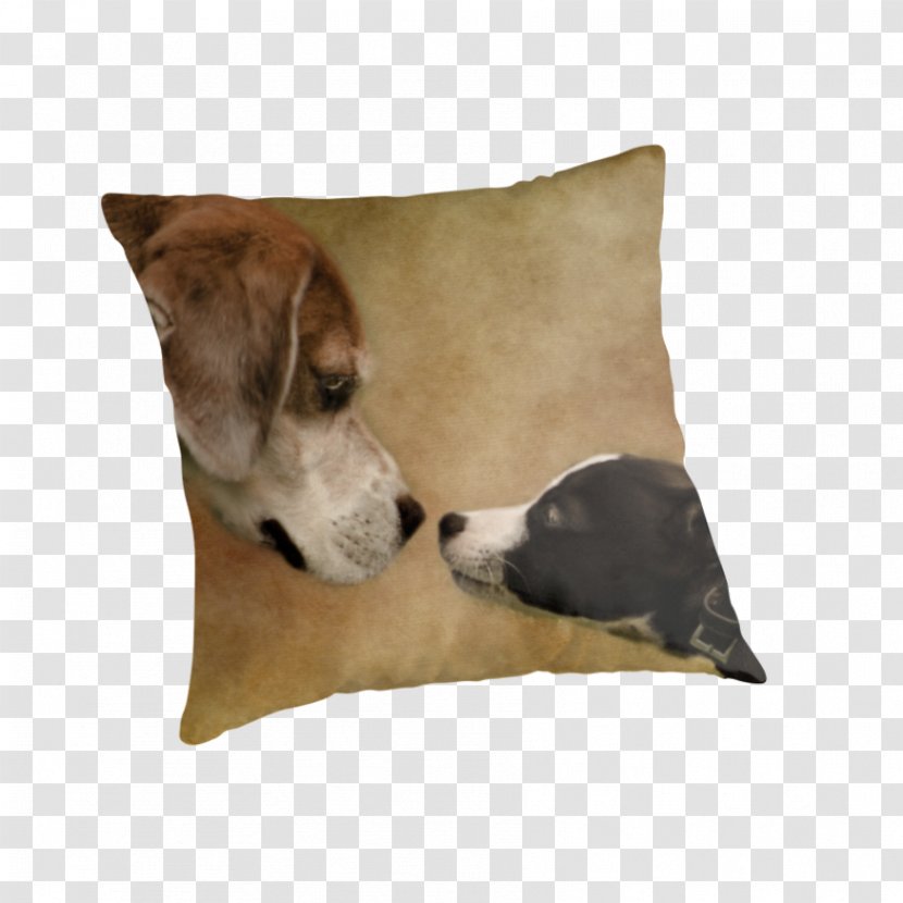 Dog Breed Whippet Italian Greyhound Pillow - Throw Pillows - Nose Transparent PNG