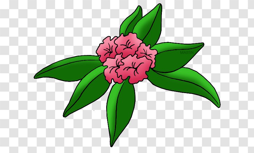 Washington West Virginia Rhododendron Clip Art - Flower Transparent PNG