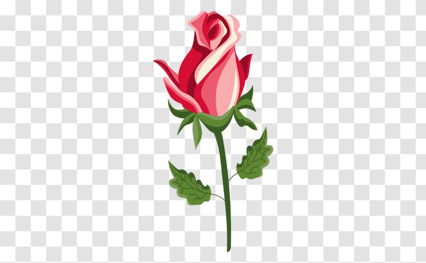 Garden Roses Flower Clip Art - Flora - Rose Transparent PNG