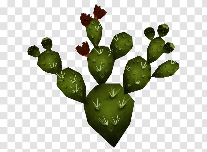 Barbary Fig Nopal Mexico Plant Cactaceae - Wikia - Watercolor Cactus Transparent PNG