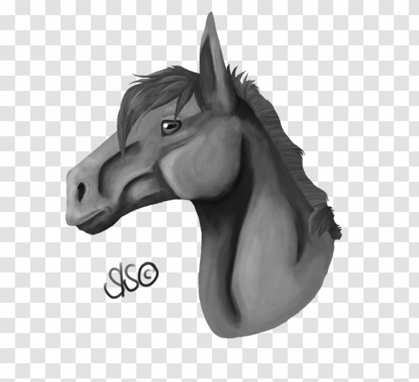 Mane Mustang Pony Stallion Drawing - Black And White Transparent PNG