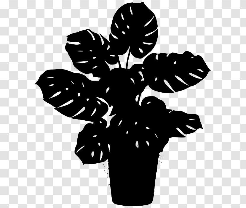 Swiss Cheese Plant Plants Houseplant Image Liana - Herbaceous Transparent PNG