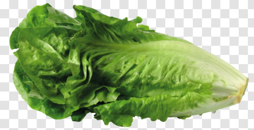 Greek Salad Lettuce Sandwich Clip Art - Leaf Vegetable Transparent PNG