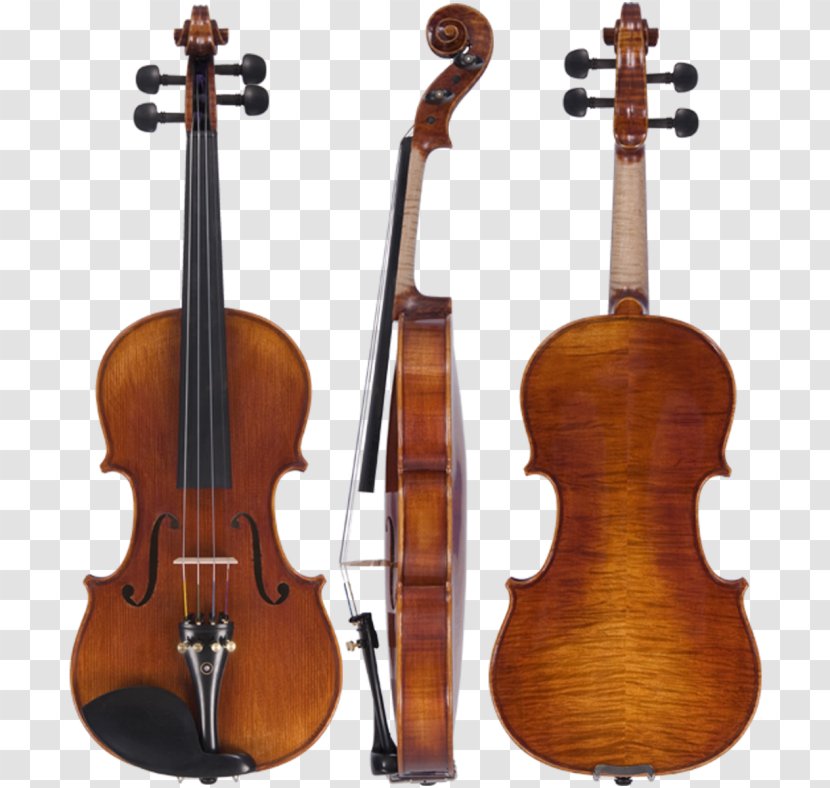 Violin Amati String Instruments Guarneri Viola - Cartoon Transparent PNG