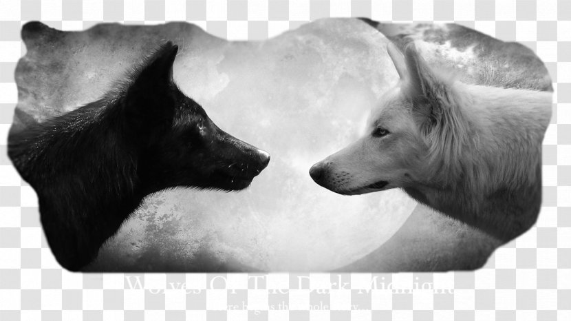 Wolf Wallpapers Desktop Wallpaper Dog Arctic Black - Monochrome Transparent PNG