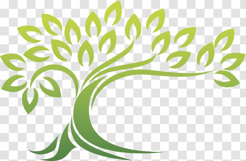 Learning Education Teacher Experience Class - Flower - Foliage Transparent PNG