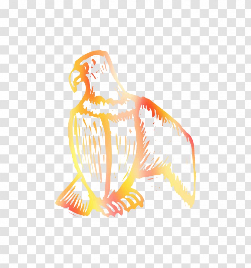 Chicken Drawing Bird Illustration Beak - Orange Transparent PNG