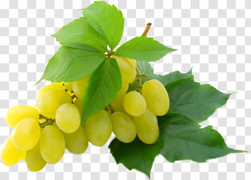 Grape Desktop Wallpaper High-definition Video 1080p Display Resolution - Grapes Transparent PNG