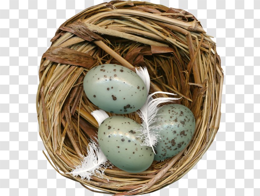 Edible Birds Nest Egg - Basket - Eggs Transparent PNG