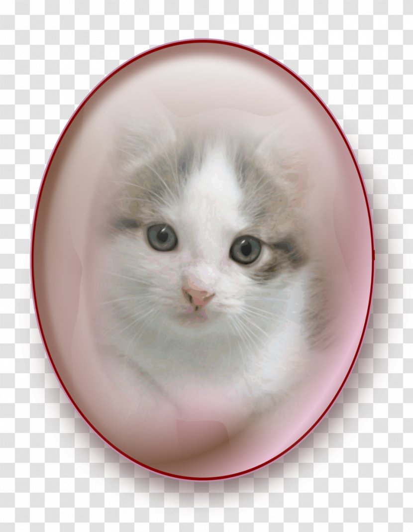 Whiskers Norwegian Forest Cat Domestic Short-haired Kitten Long-haired - Shorthaired Transparent PNG