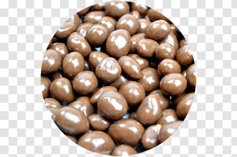 Chocolate Balls Chocolate-coated Peanut Chocolate-covered Raisin Milk - Chocolatecoated Transparent PNG
