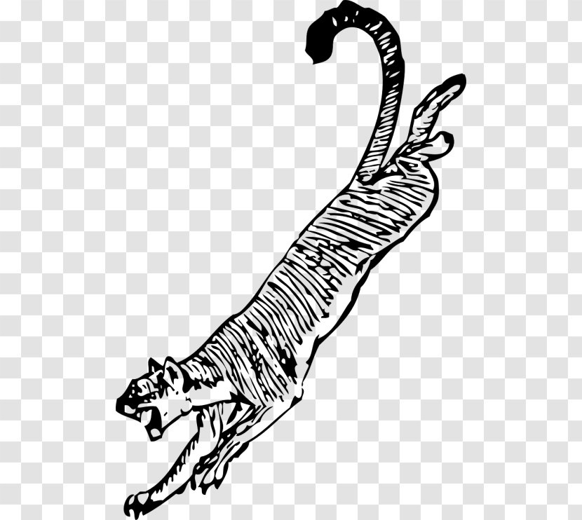 Line Art Tail Claw Coloring Book Terrestrial Animal - Blackandwhite Wildlife Transparent PNG