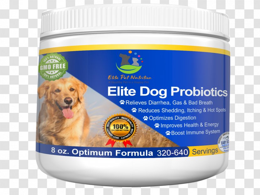 Dog Probiotic Dietary Supplement Cat Veterinarian Transparent PNG