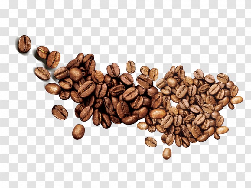 Jamaican Blue Mountain Coffee Food Five Grains Lollipop - Nuts Seeds - Beans Transparent PNG