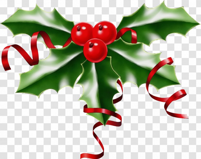 Holly - Christmas - Hollyleaf Cherry Tree Transparent PNG