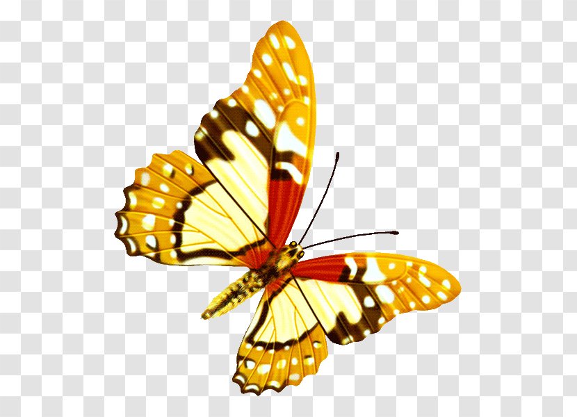 Butterfly Icon - Brush Footed Transparent PNG