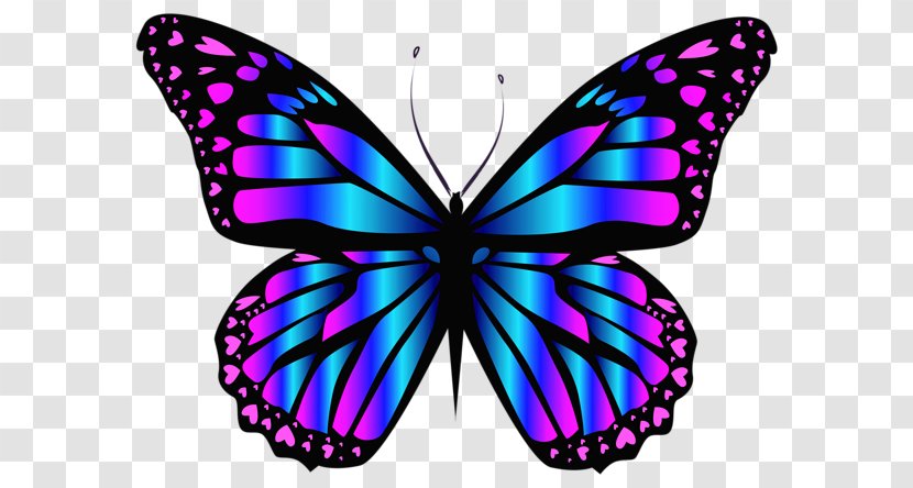 Butterfly Insect Blue Clip Art Transparent PNG