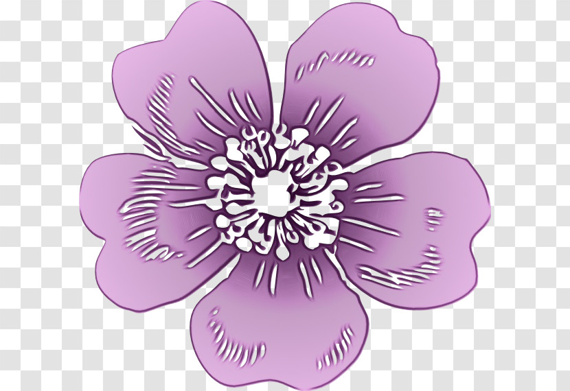 Rose Transparent PNG