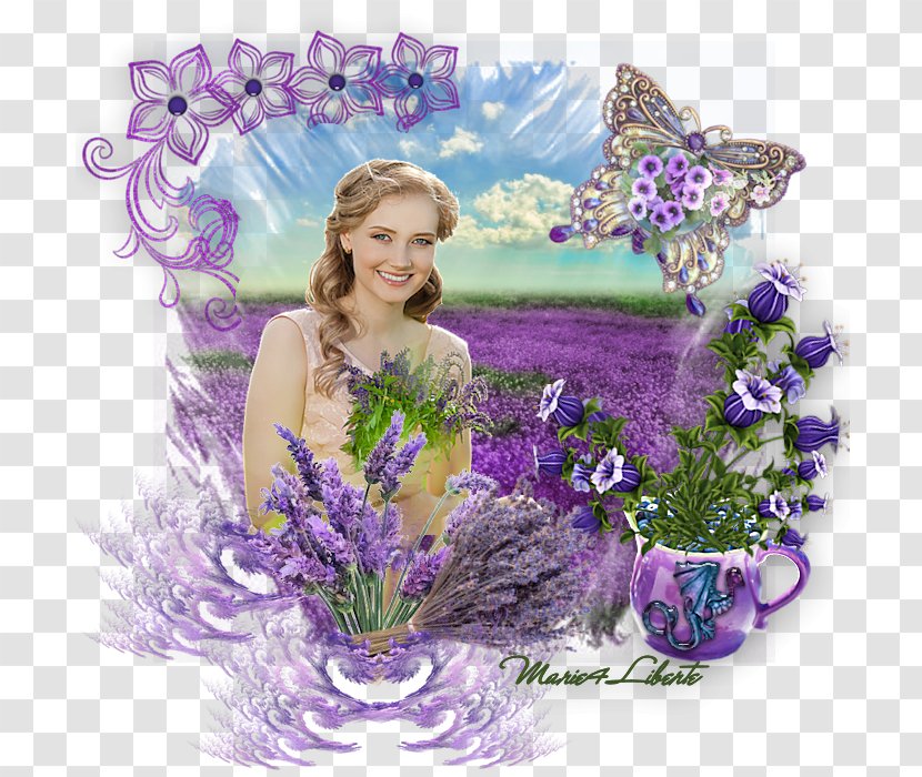 English Lavender Floral Design Flower Bouquet - Cut Flowers - Lavande Transparent PNG
