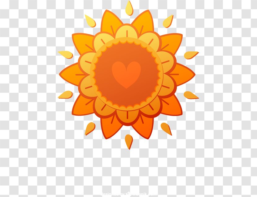 Cartoon Drawing - Floral Design - Vector Cute Orange Sun Transparent PNG