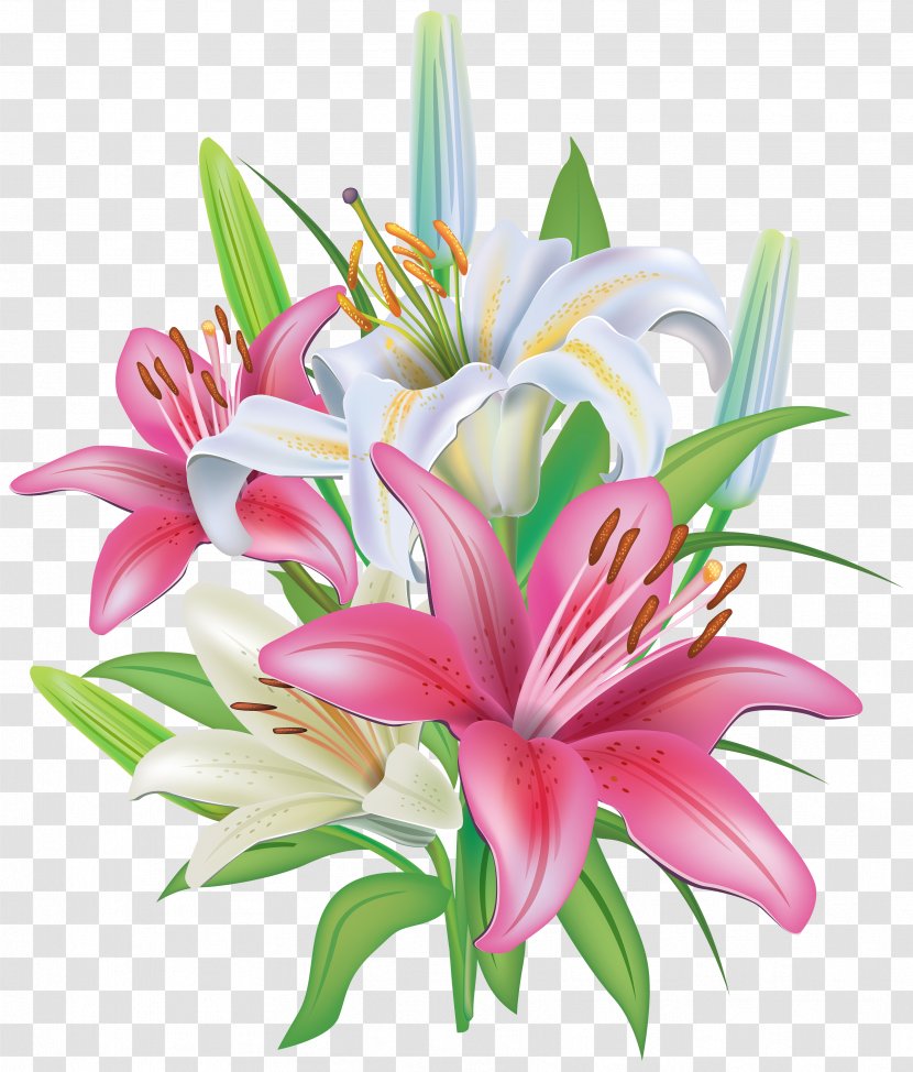 Lilium 'Stargazer' Flower Clip Art - Lily - Lilies Flowers Decoration PNG Clipart Image Transparent PNG
