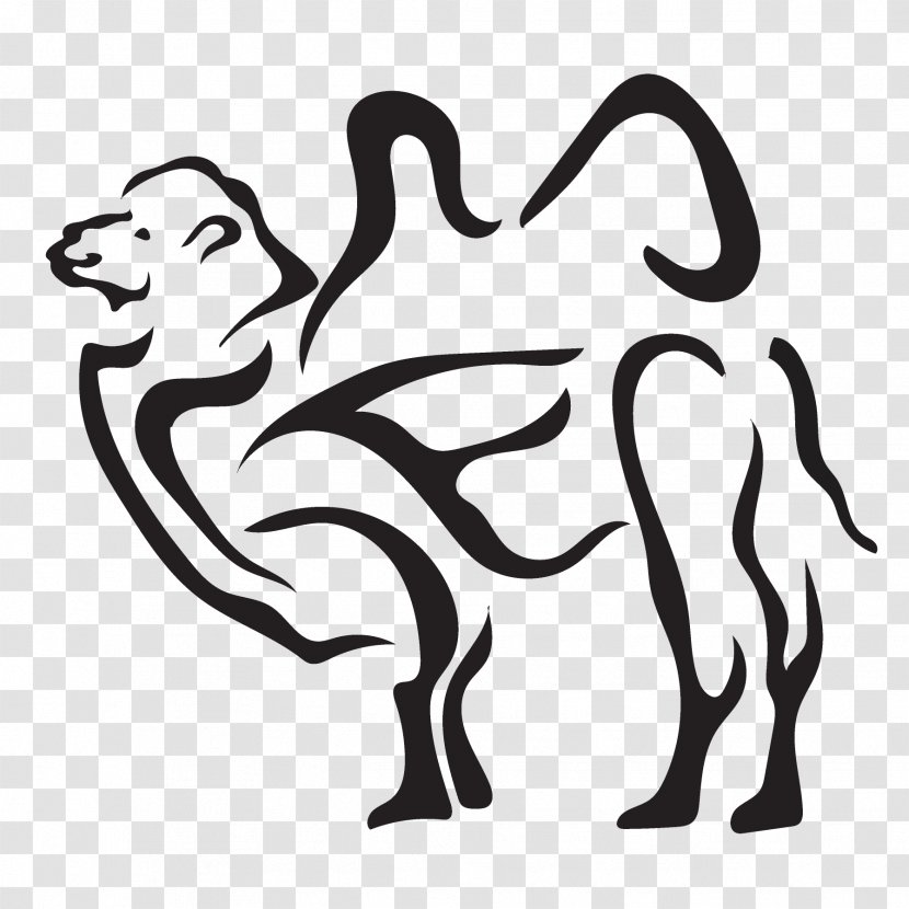 White Cartoon Black-and-white Camel Coloring Book - Wildlife Line Art Transparent PNG