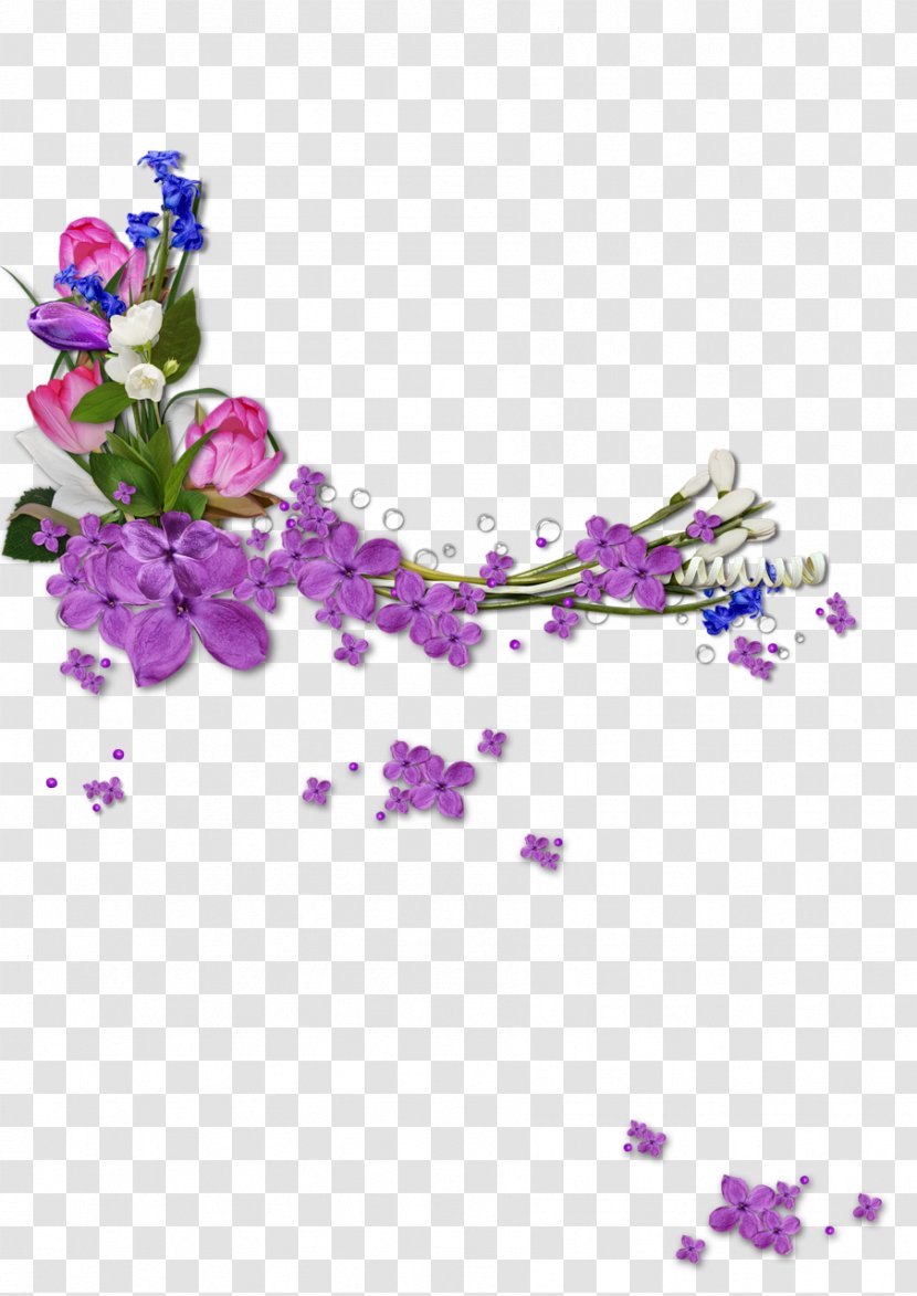 Lavender - Flower - Petal Delphinium Transparent PNG