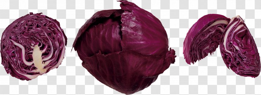 Red Cabbage Slaw Vegetable Coleslaw - Food Transparent PNG