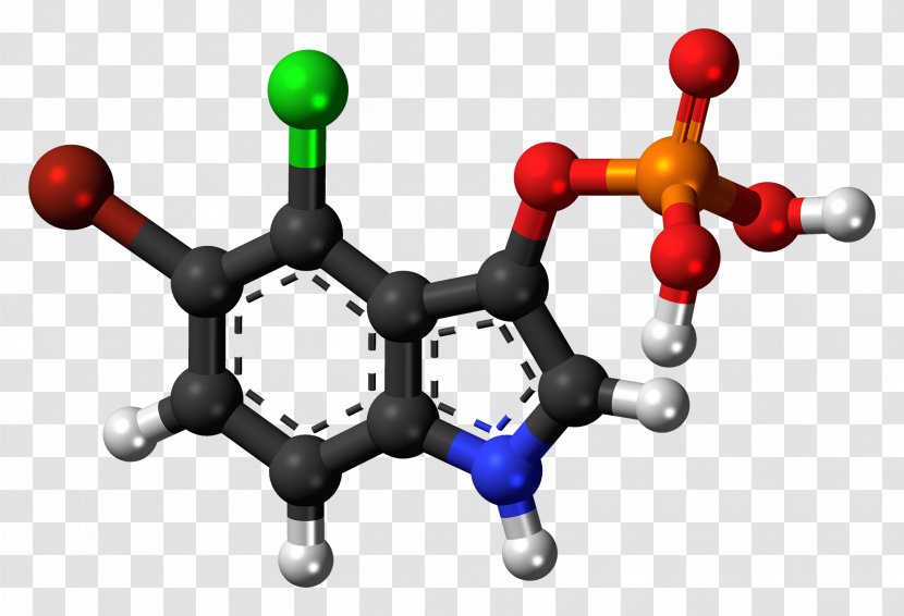 Serotonin Pharmaceutical Drug Indole Research Chemical Substance - Psilocybin Mushroom - Invention Transparent PNG