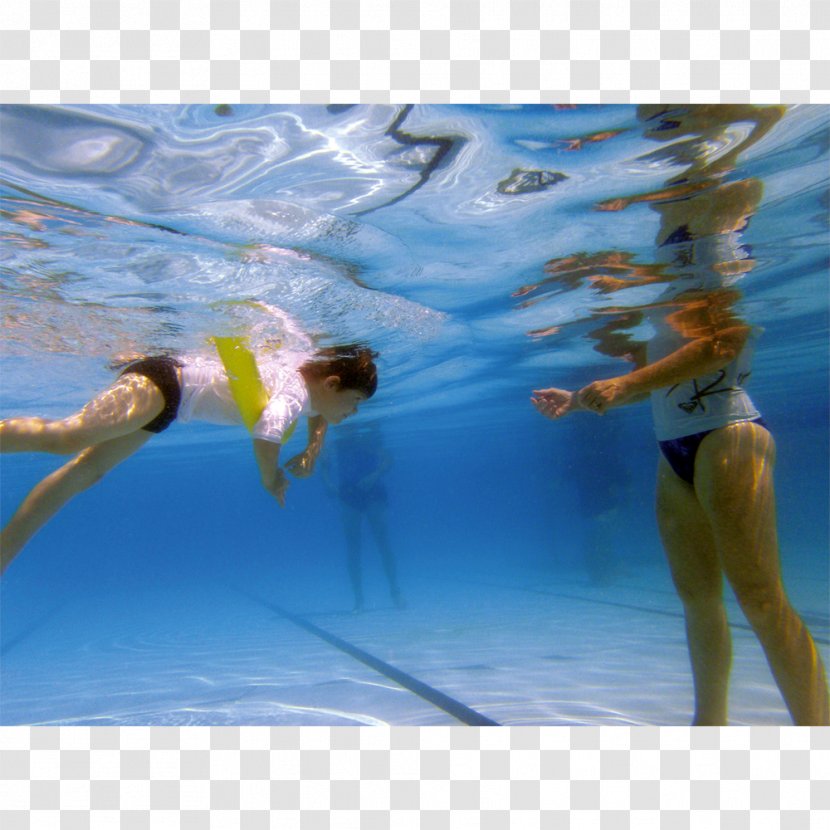 Swimming Pool Water Aerobics Leisure - Hart Sport Transparent PNG