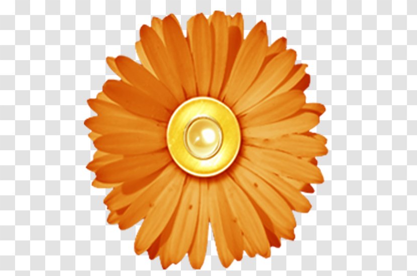 Paper Digital Scrapbooking Flower - Button - Orange Transparent PNG