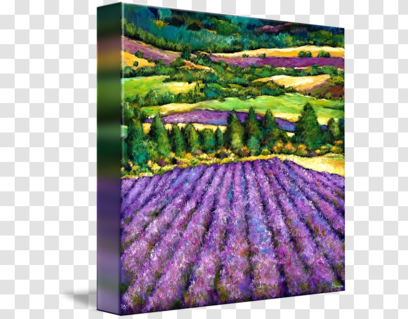 English Lavender - Tuscan Kitchen Transparent PNG