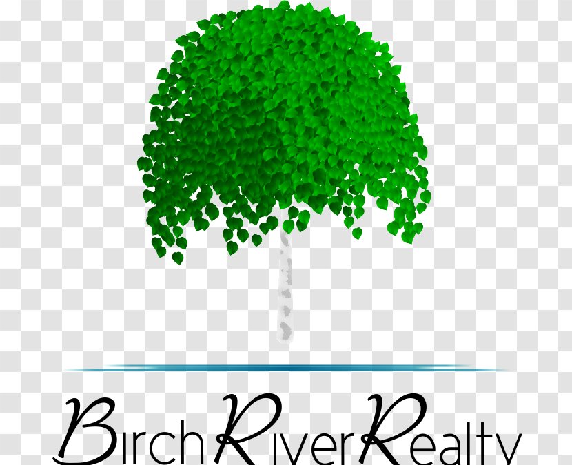 Birch River Realty Drive Achasta Tree - Plant Transparent PNG