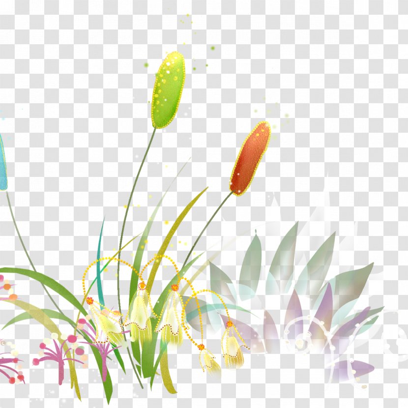 Computer Wallpaper - Plant Stem - Hand-painted Flowers Transparent PNG