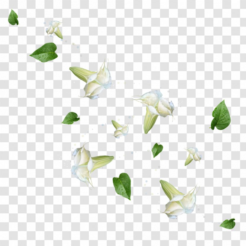 Flower Leaf Petal Download - Green - Falling Transparent PNG