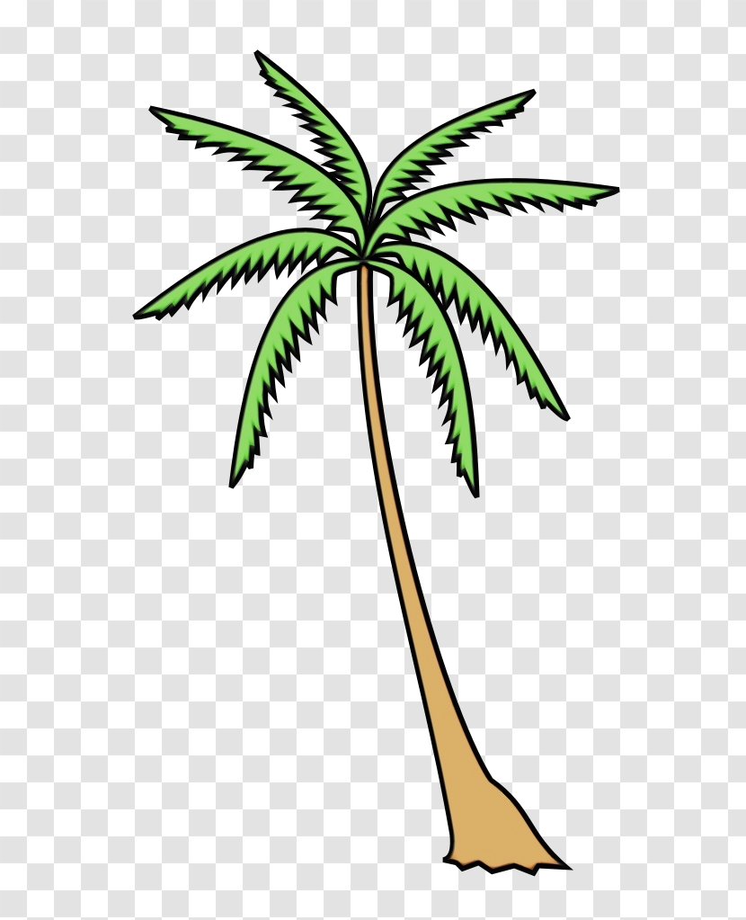 Family Tree Silhouette - Palm - Vascular Plant Flower Transparent PNG