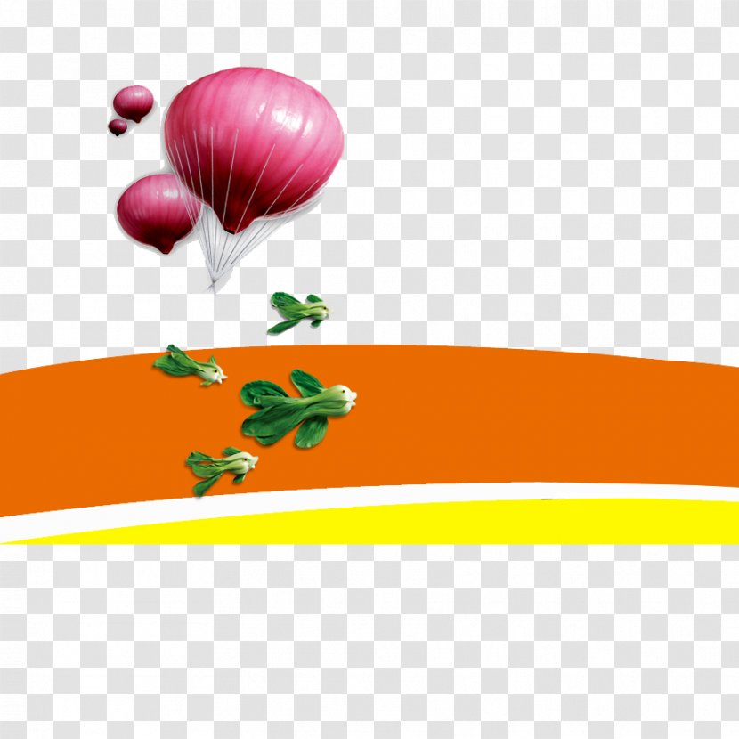 Onion Vegetable Gratis Icon - Vegetables Transparent PNG