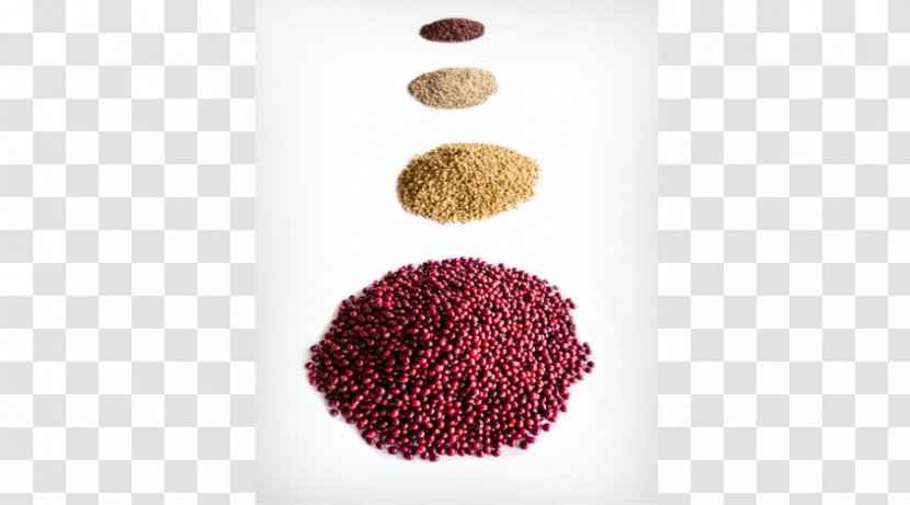 Product Superfood - Cofee Beans Transparent PNG