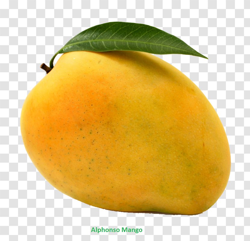 Mango Mangifera Indica Alphonso Benishan Banganapalle - Vegetarian Food Transparent PNG
