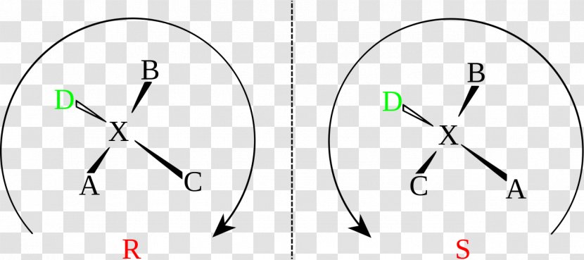 Circle Drawing - Area - Design Transparent PNG