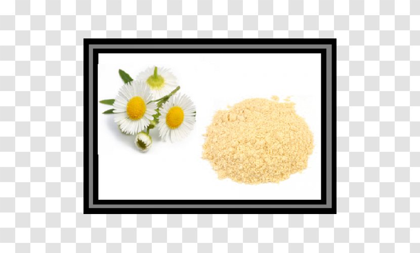 Chamomile Food Shampoo Herb Pancake - Flower Transparent PNG