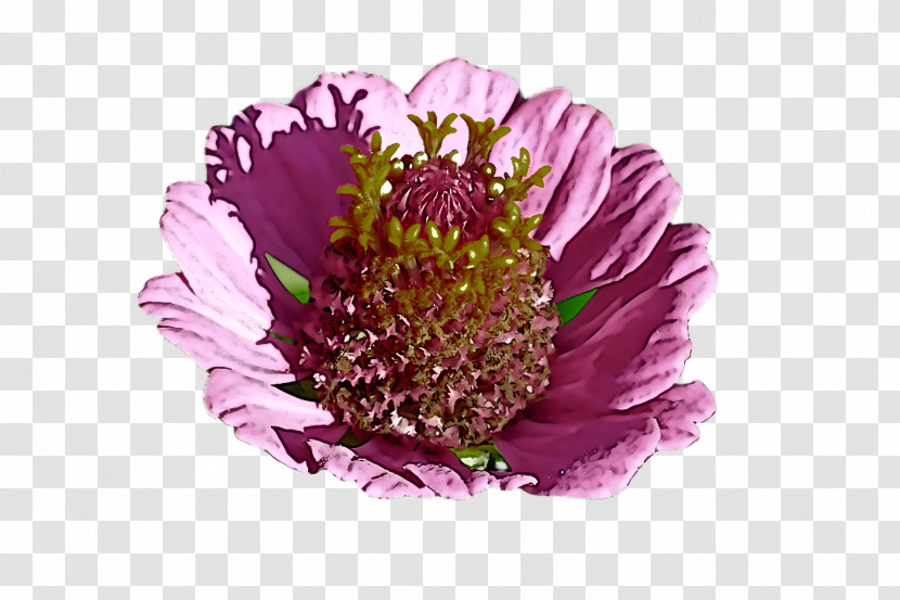 Lavender Transparent PNG