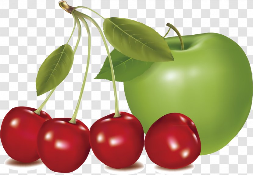 Cherry Fruit Vecteur - Food - Apple Material Transparent PNG